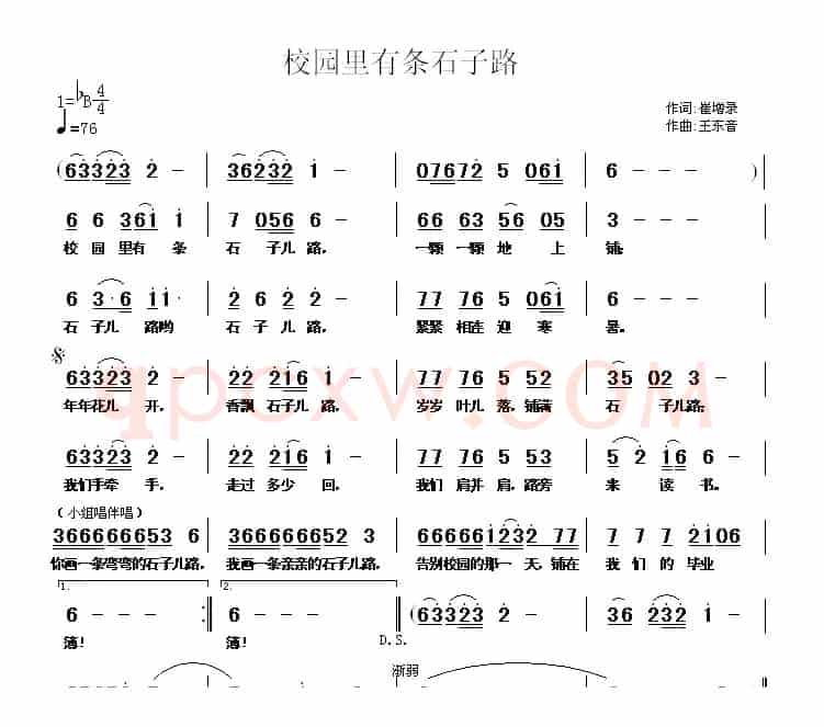 校园里有条石子路