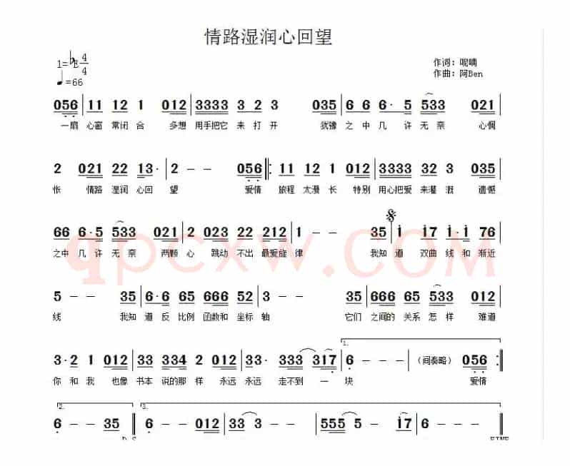 情路湿润心回望