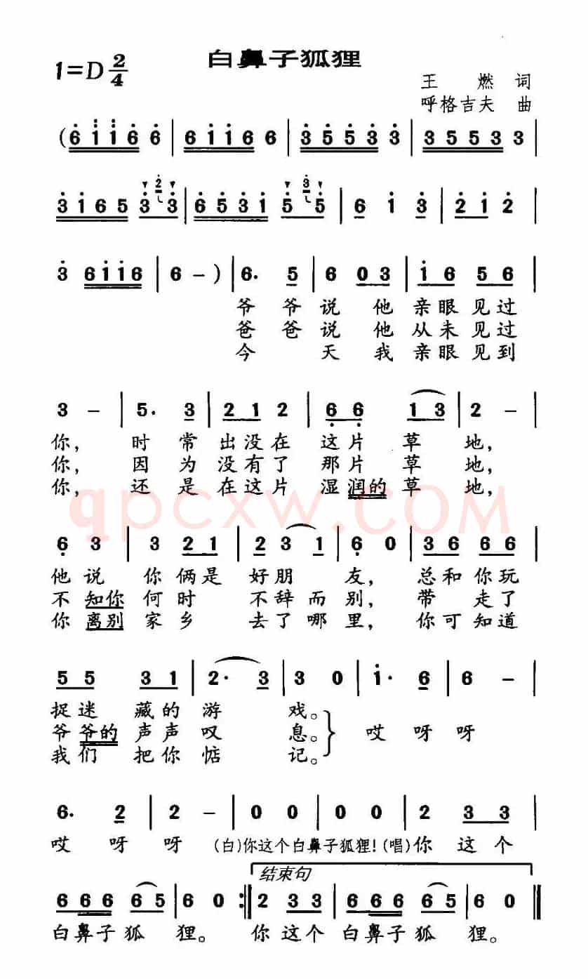白鼻子狐狸