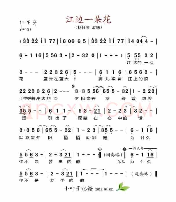 江边一朵花
