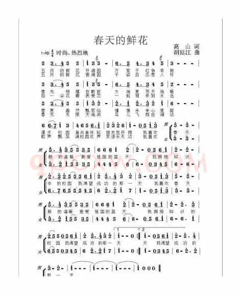 春天的鲜花