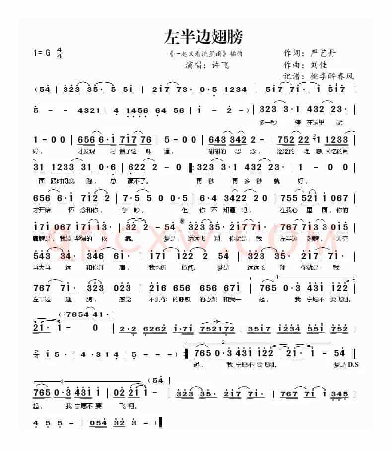 左半边翅膀（《一起又看流星雨》插曲）