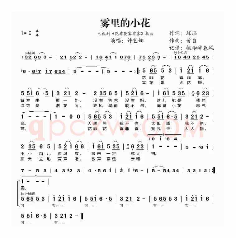 雾里的小花(《花非花雾非雾》插曲)