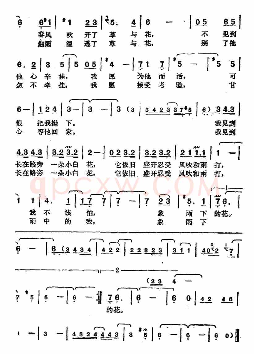 邓丽君演唱金曲:雨下的花朵