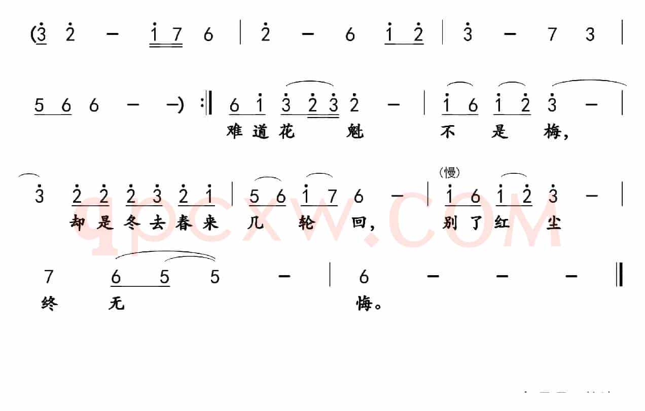 寒梅缘