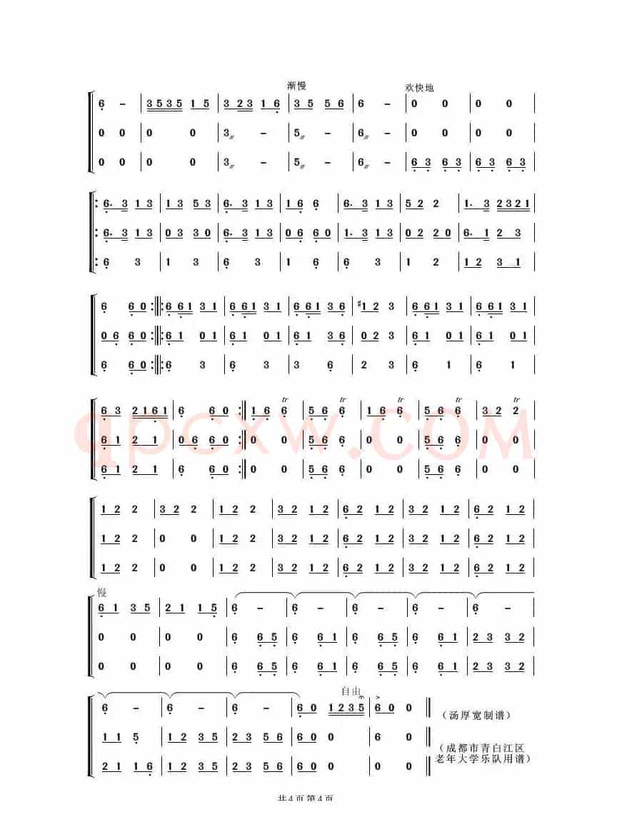 欢乐的火把节（民乐合奏曲）