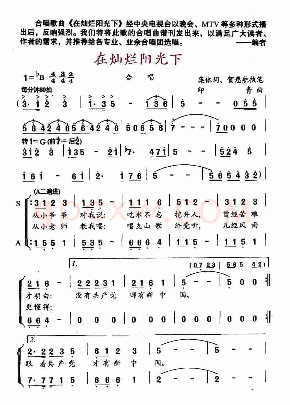 在灿烂阳光下