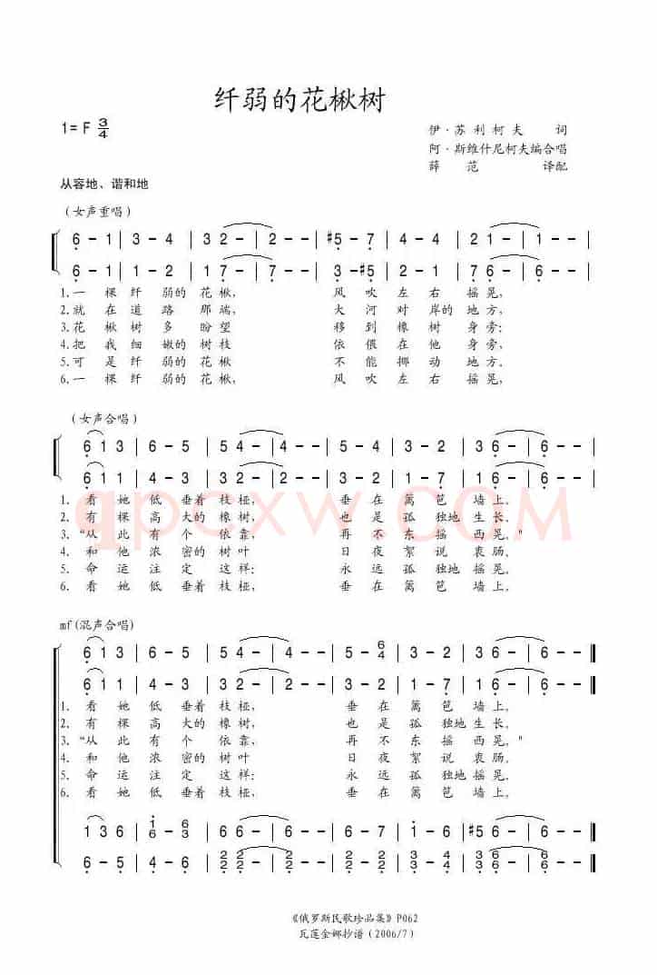 纤弱的花楸树（俄）