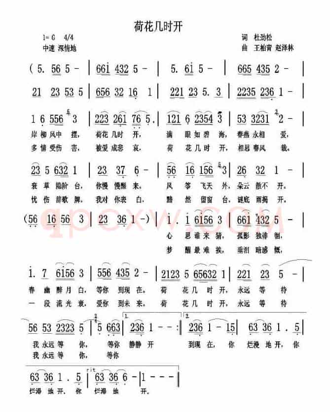 荷花几时开（作词：杜劲松 作曲： 王柏青 赵泽林）