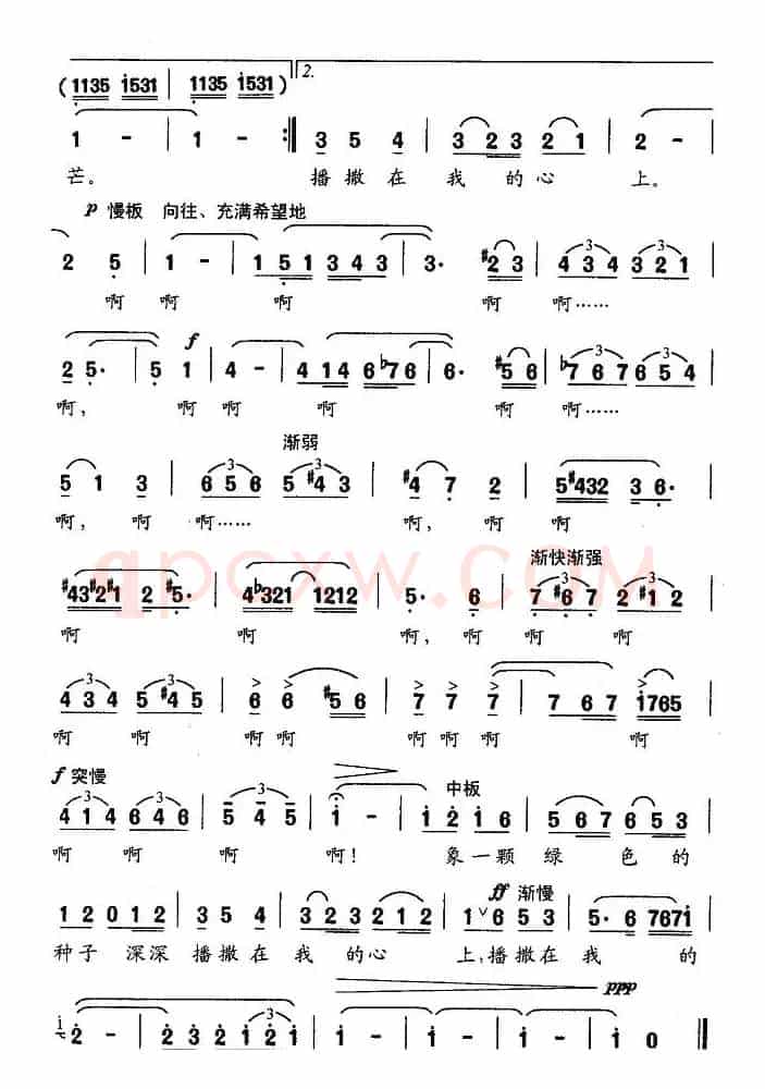 绿色的海南岛
