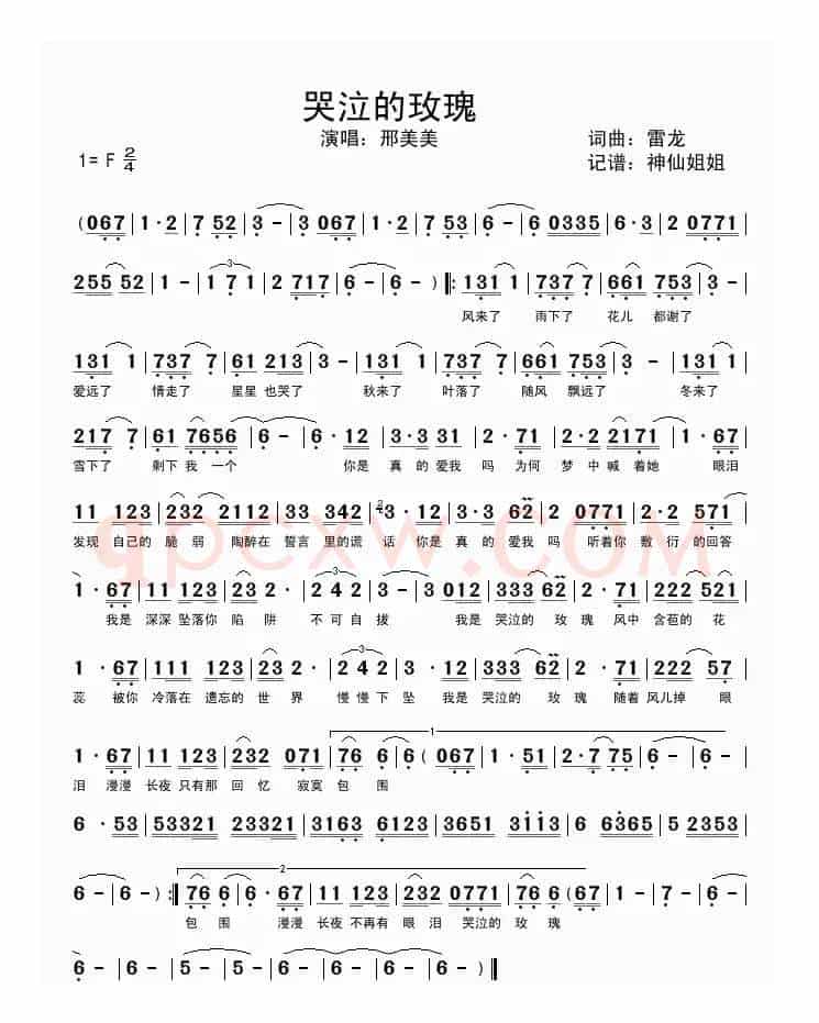 哭泣的玫瑰（雷龙词曲）