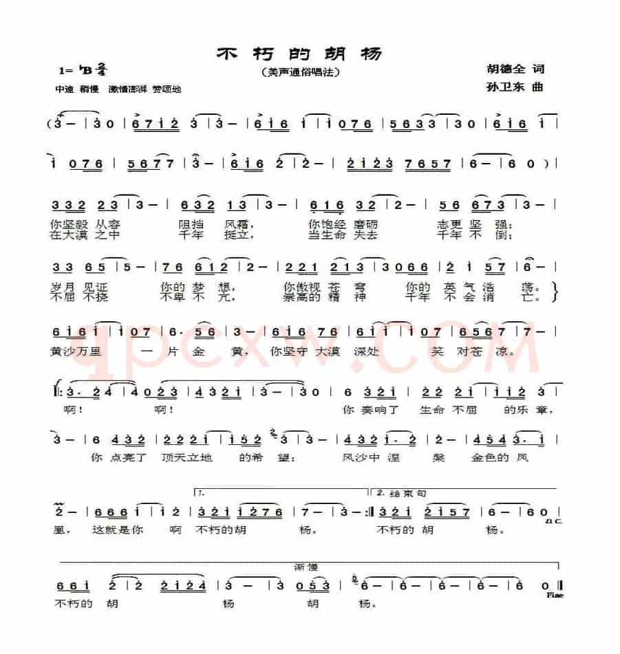 不朽的胡杨