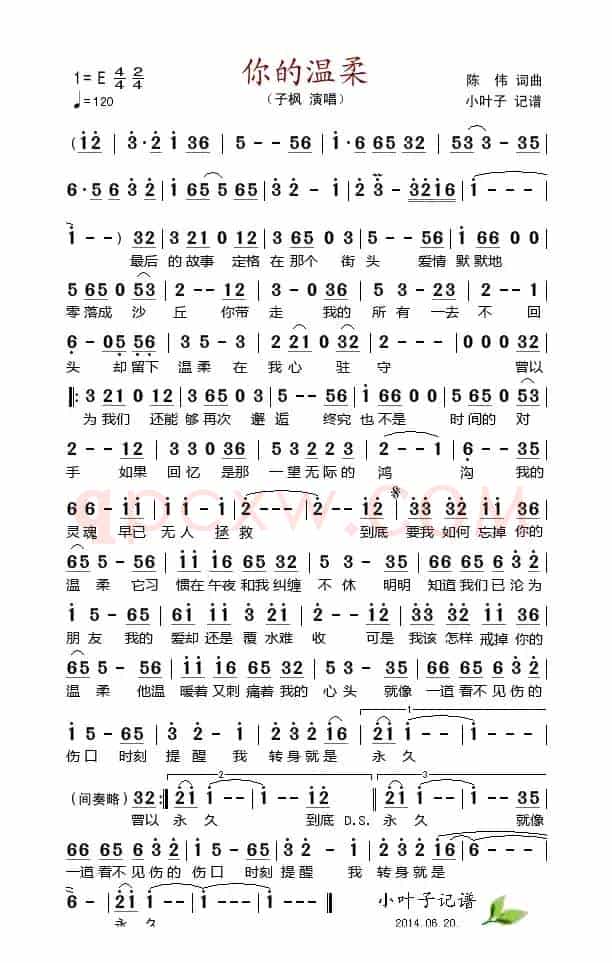你的温柔