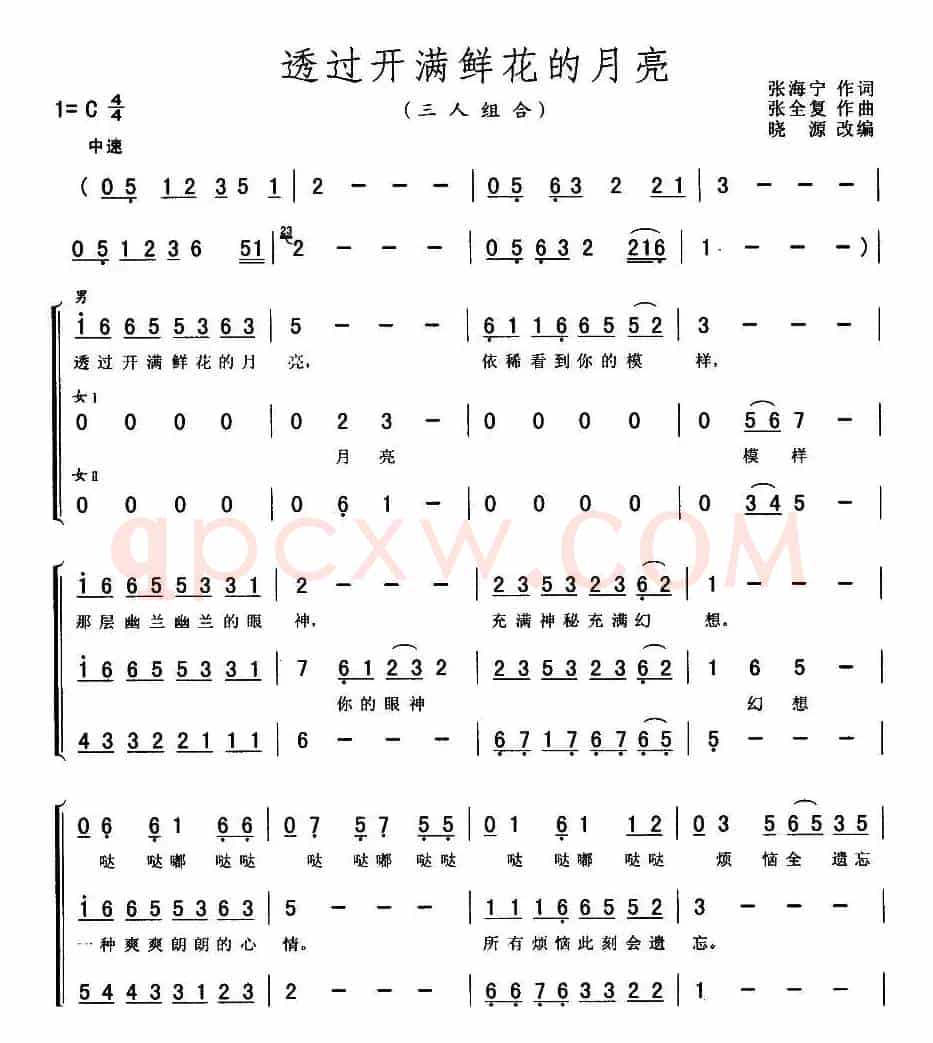 透过开满鲜花的月亮（三人组合）