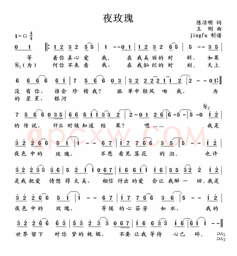 夜玫瑰