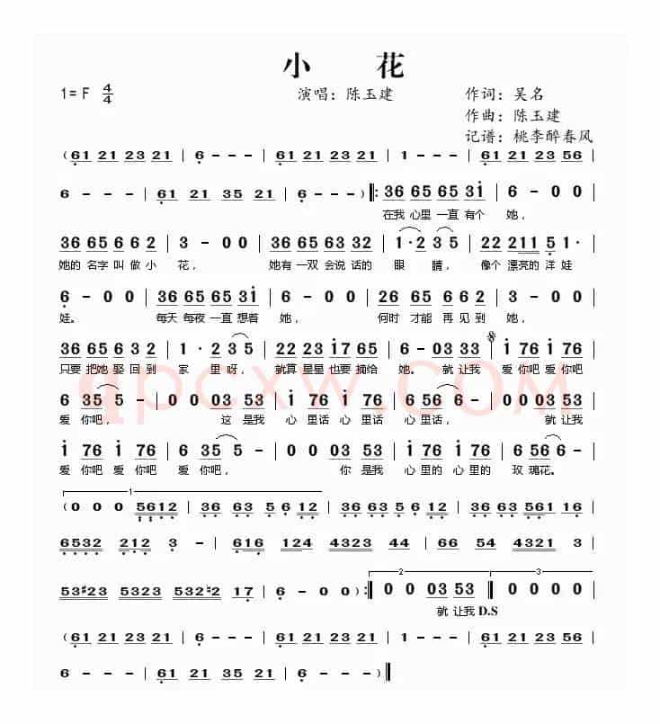 小花——陈玉建