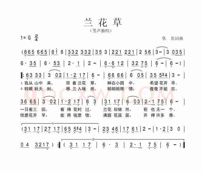 兰花草