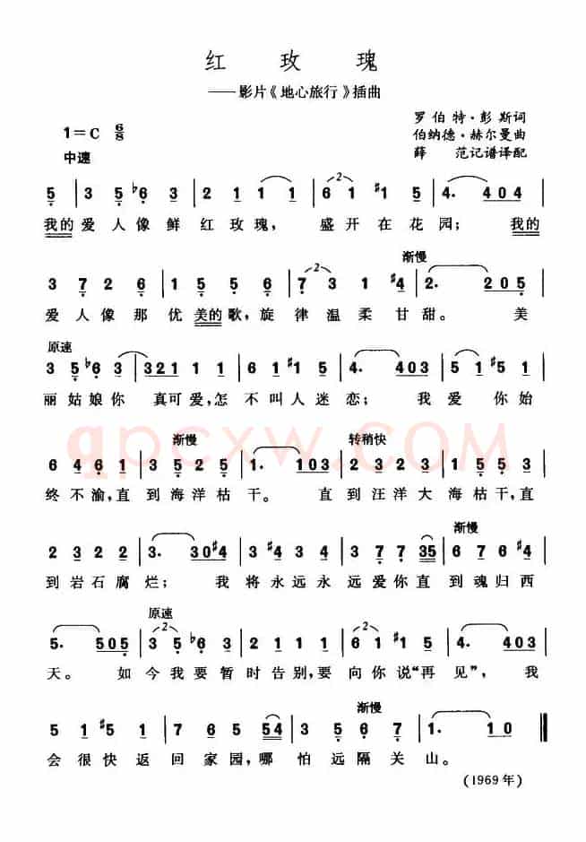 [美]红玫瑰