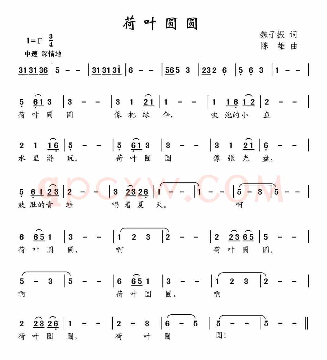 荷叶圆圆