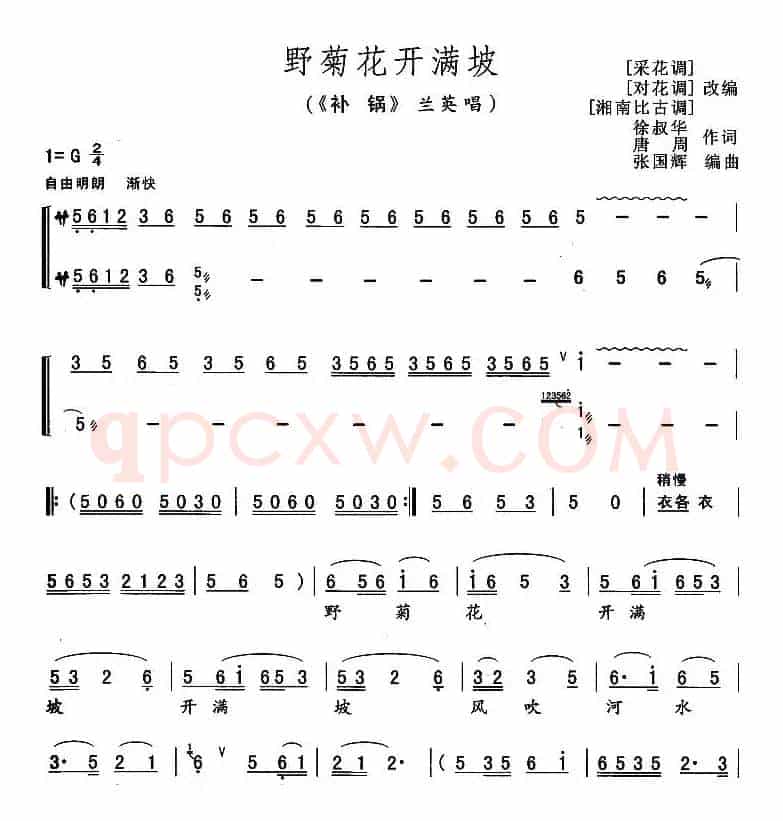 野菊花开满坡（《补锅》兰英唱段）