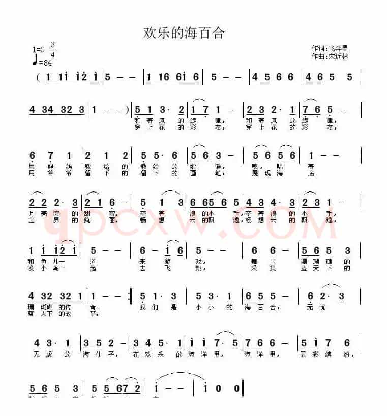 欢乐的海百合