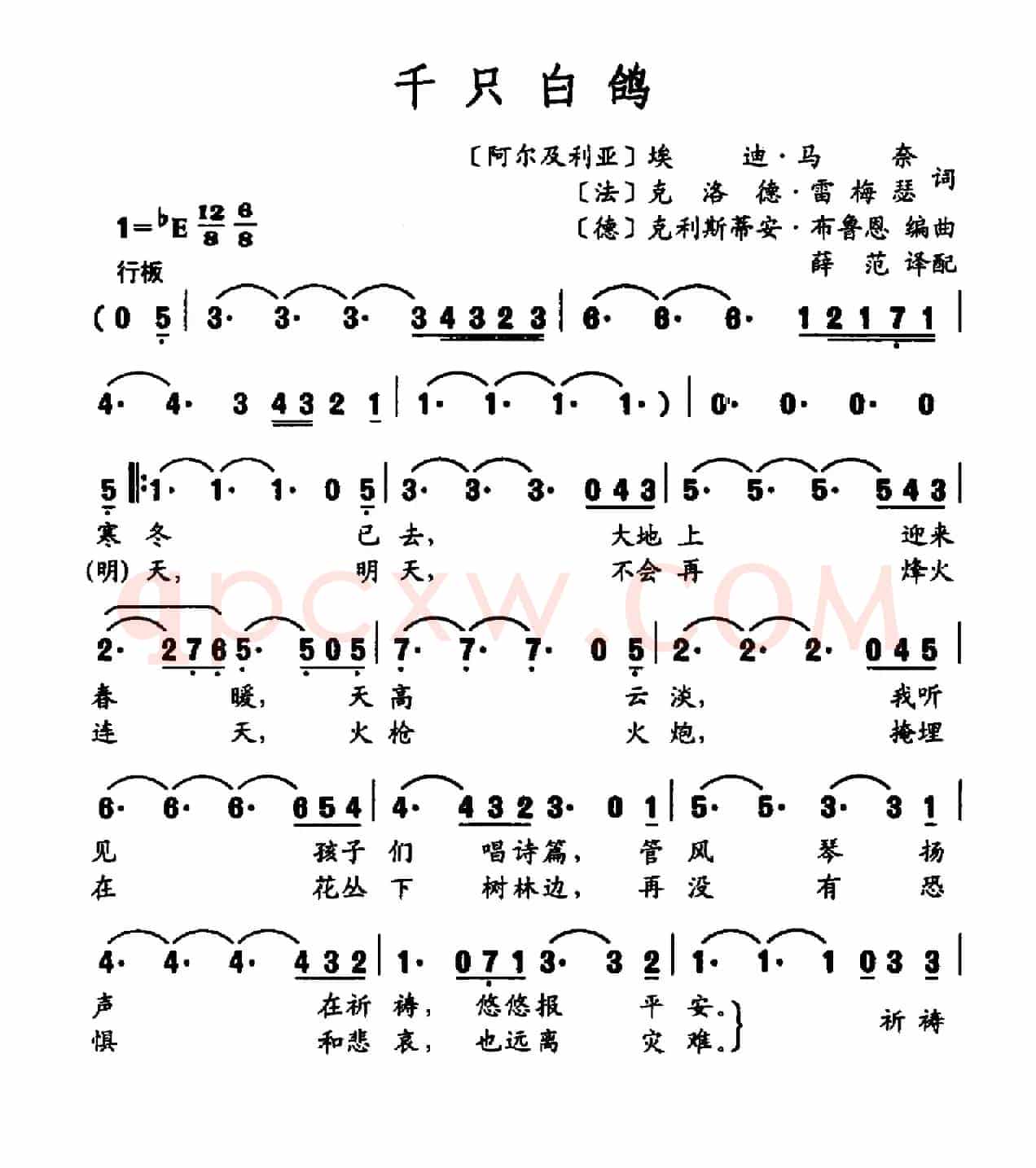 千只白鸽