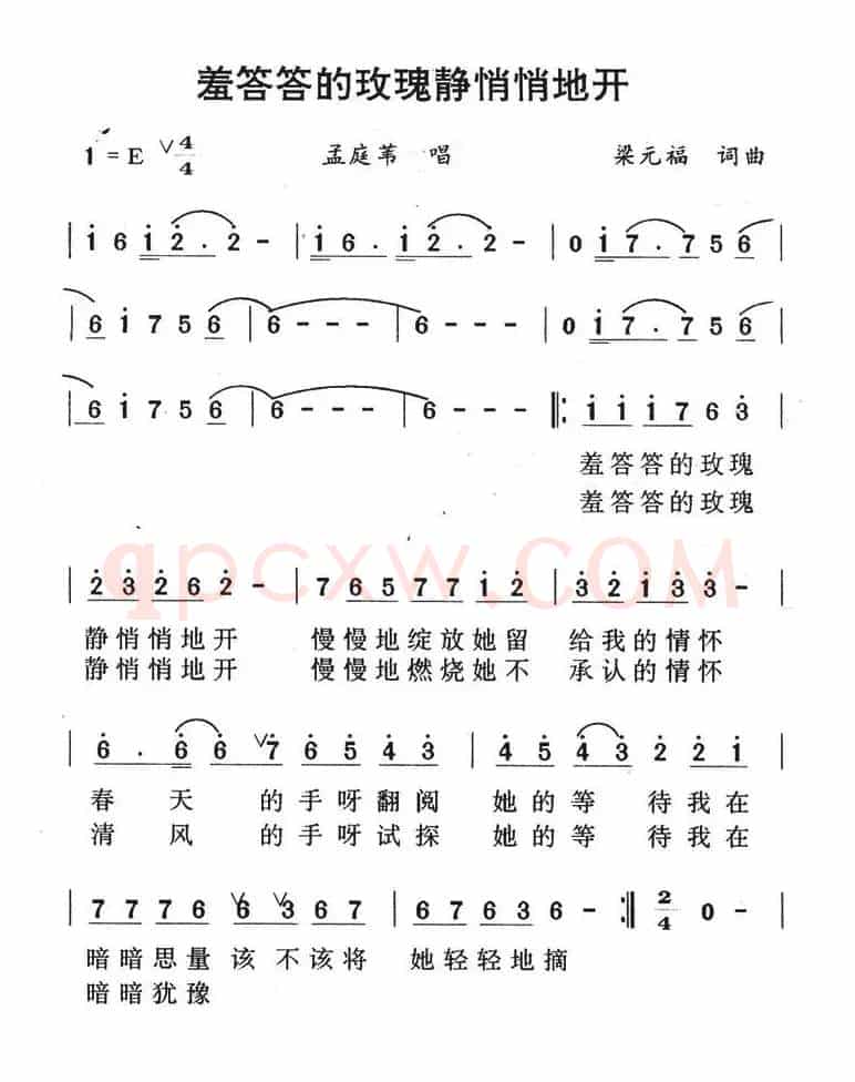 羞答答的玫瑰静悄悄的开