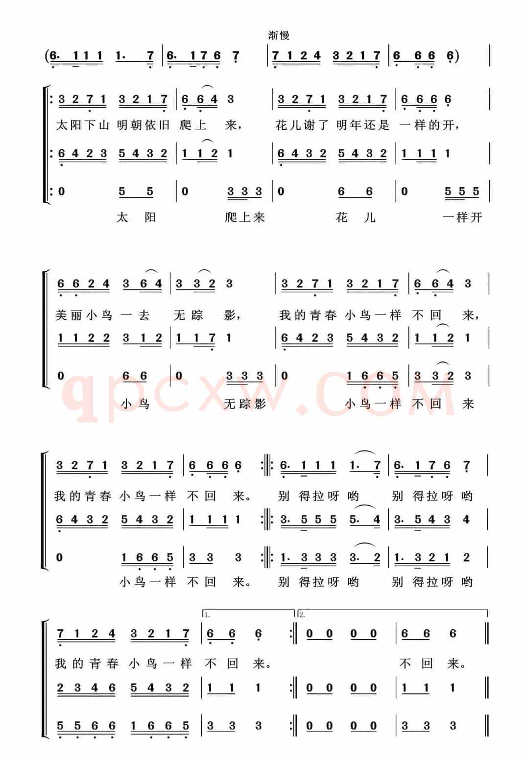 青春舞曲（三部合唱）