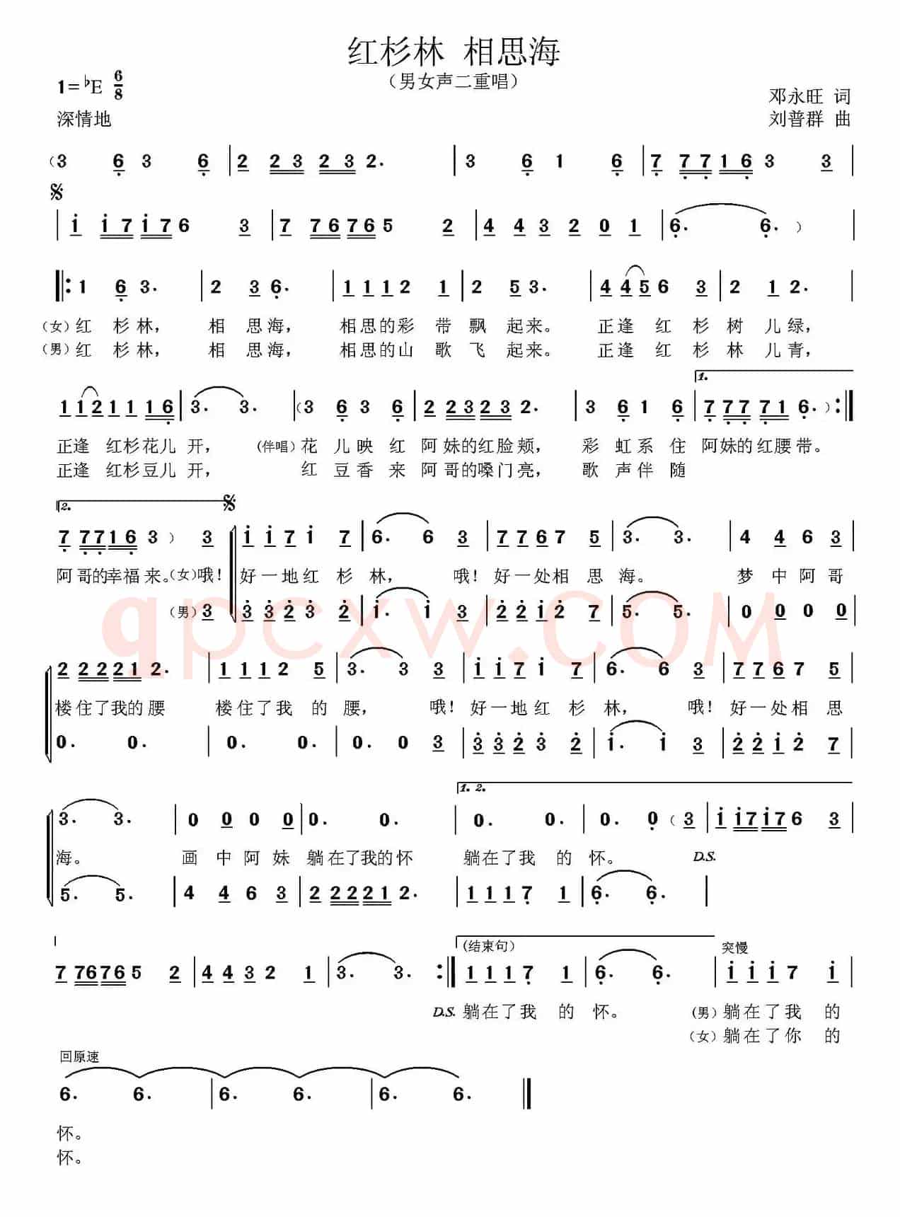 红杉林，相思海（又名：红杉林 相思海）