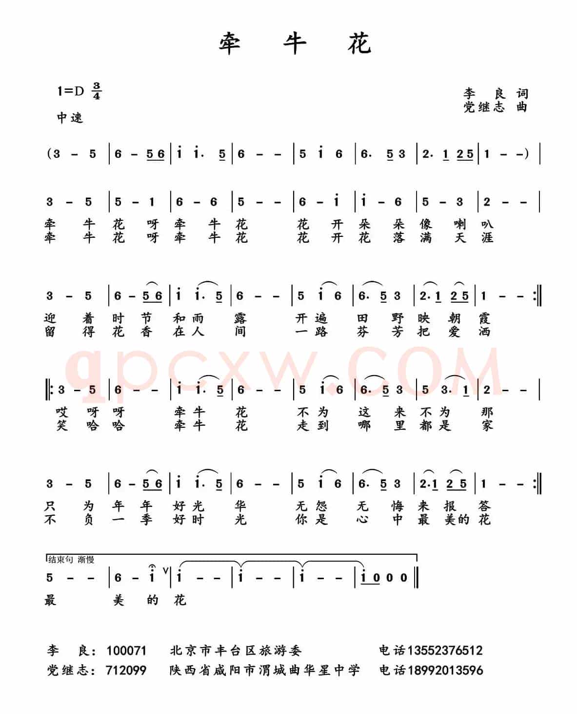 牵牛花（李良词 党继志曲）