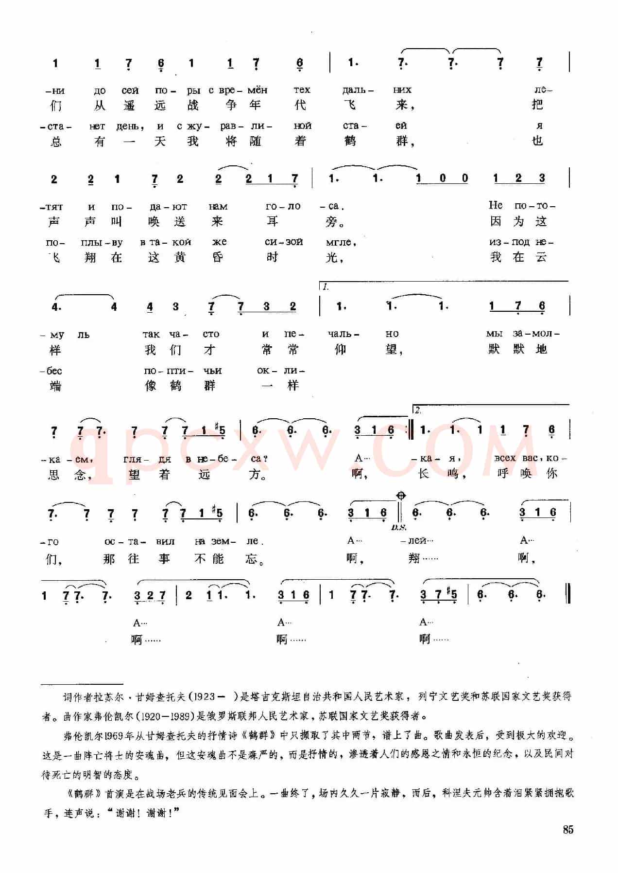 [俄]鹤群