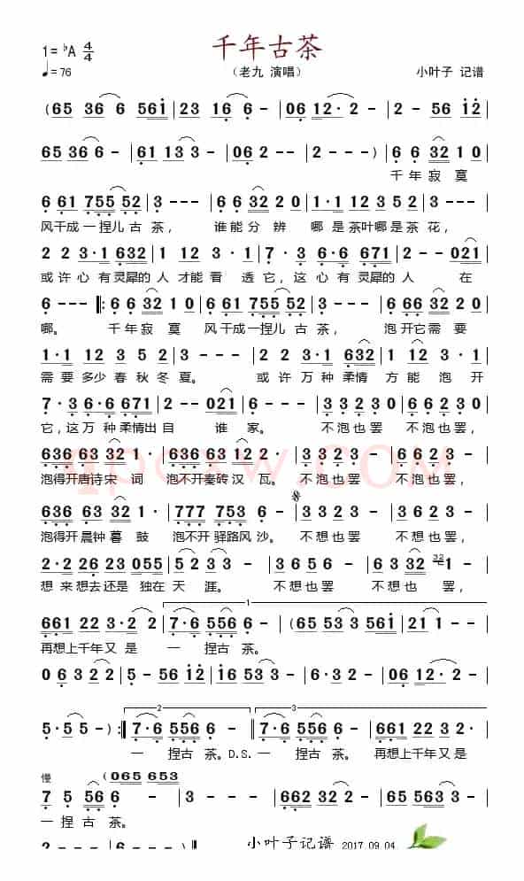千年古茶