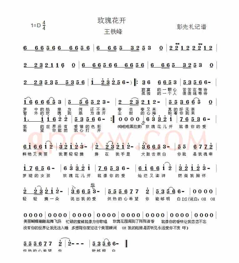 玫瑰花开  