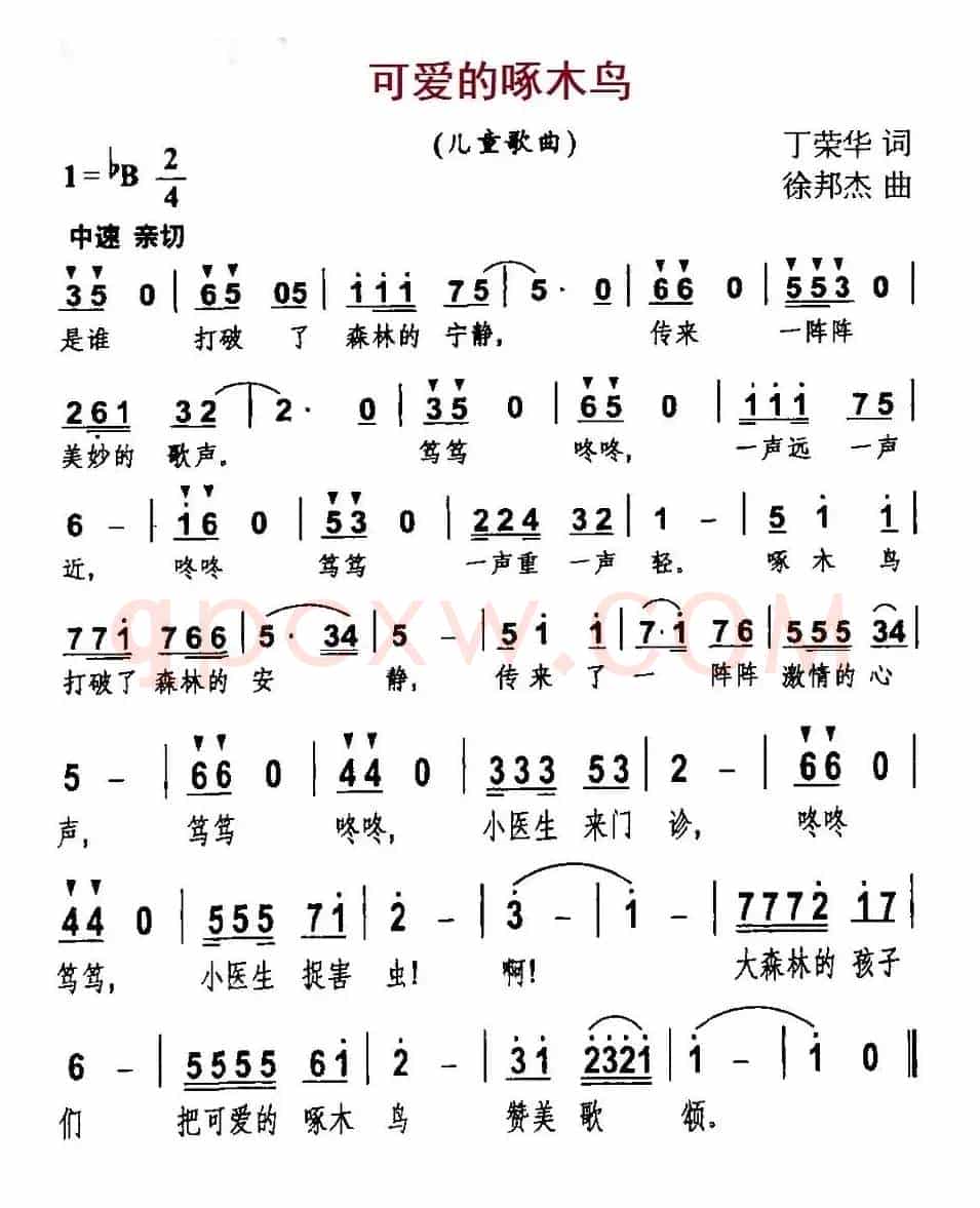 可爱的啄木鸟