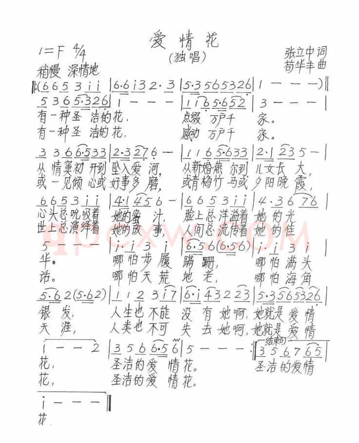 爱情花（张立中词 苟华丰曲）