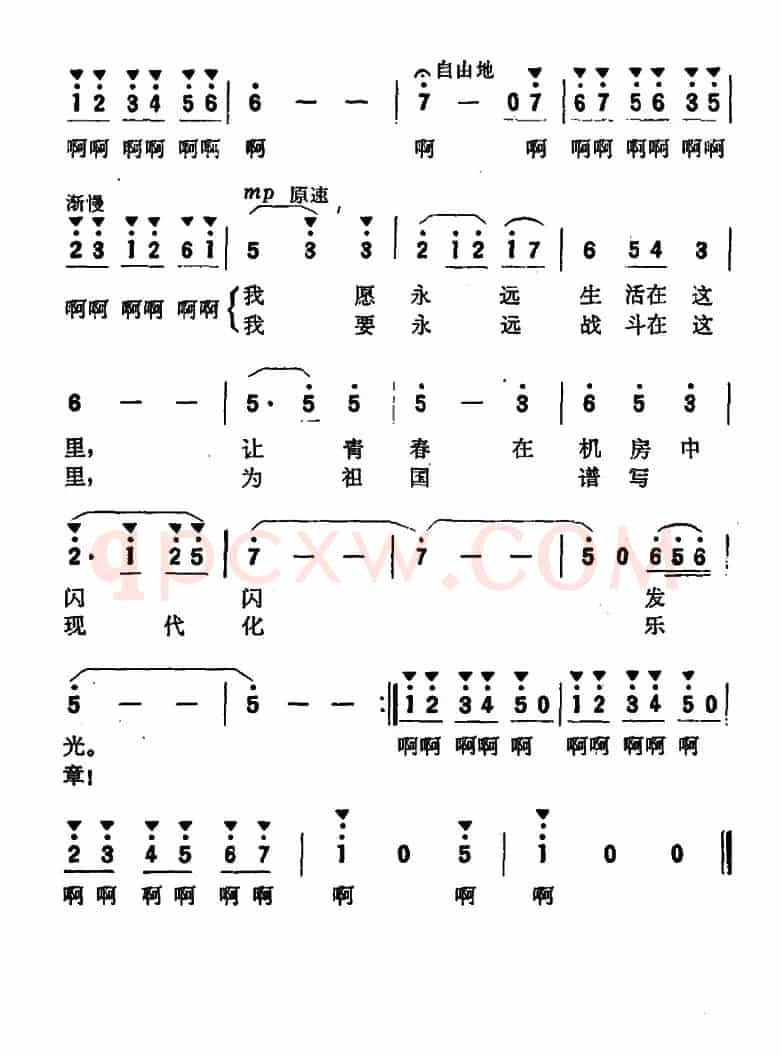 这里的歌