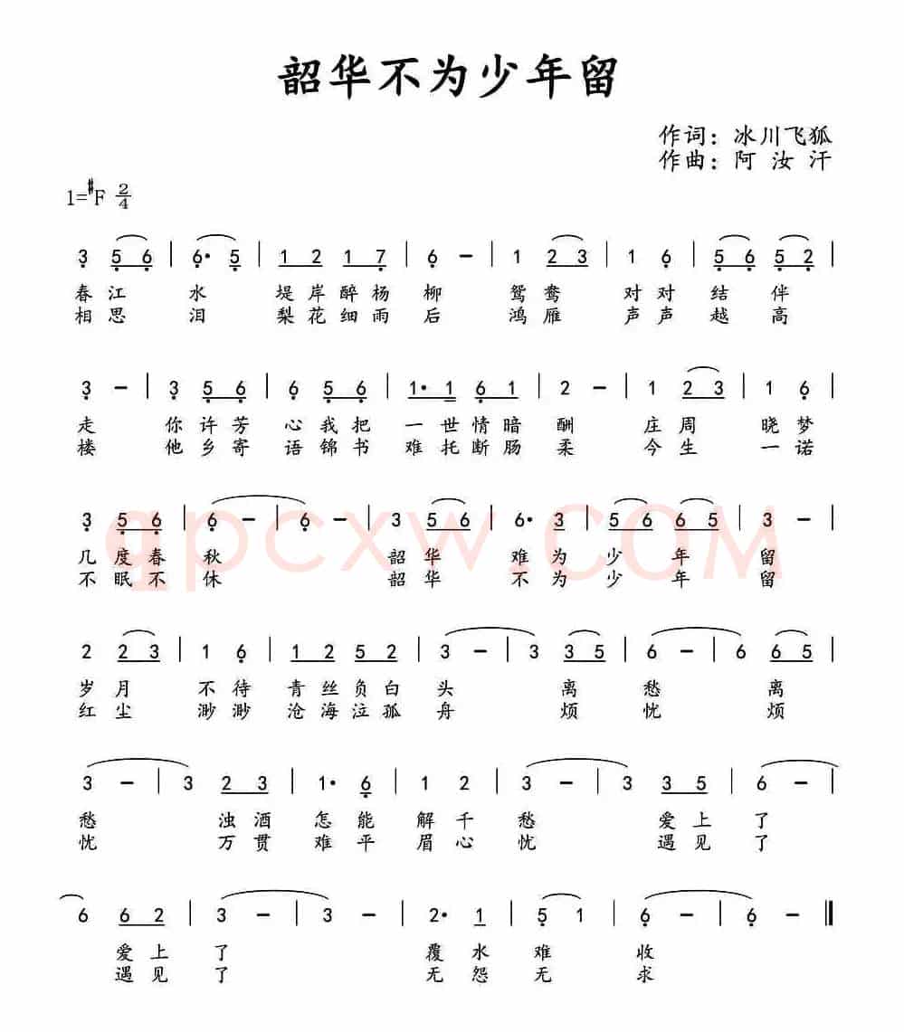 韶华不为少年留