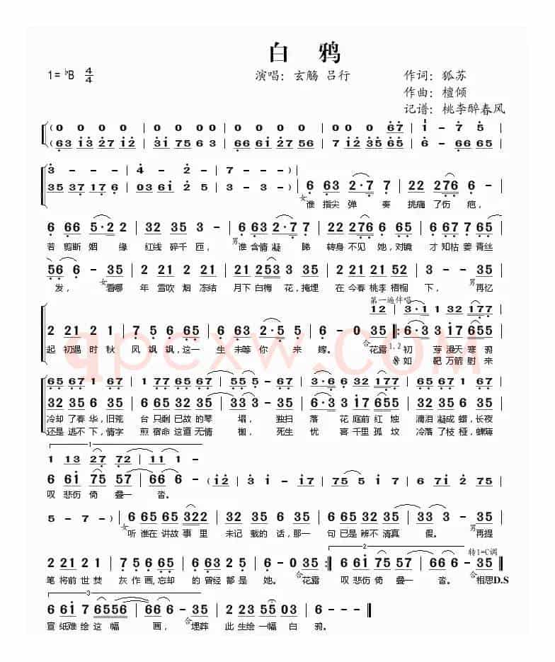 白鸦