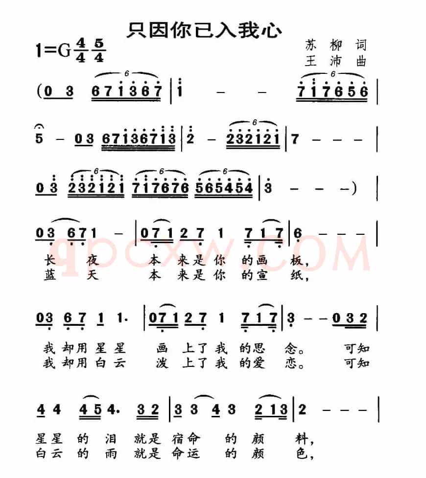只因你已入我心