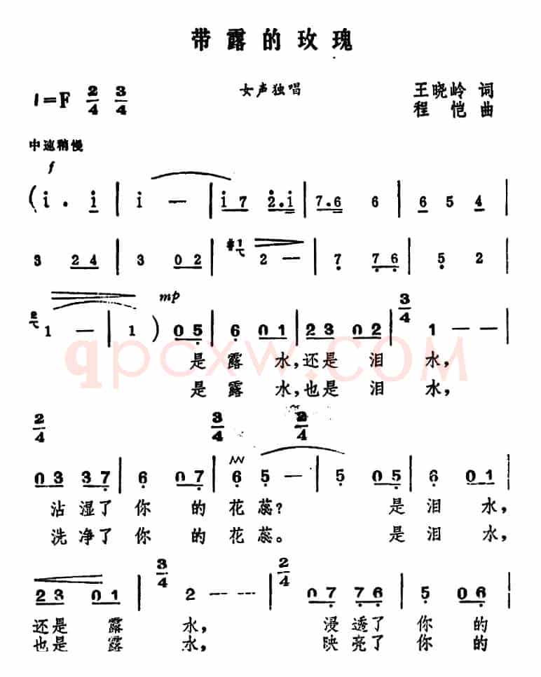 带露的玫瑰（王晓岭词 程恺曲）