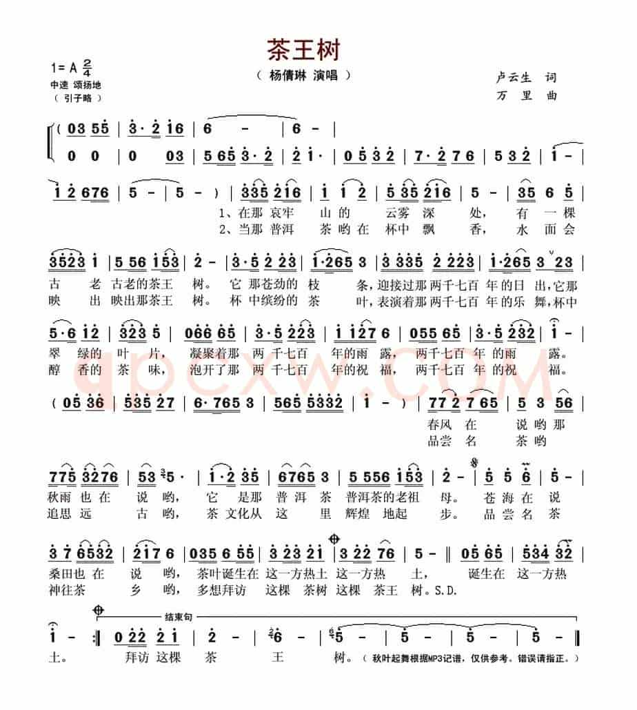 茶王树