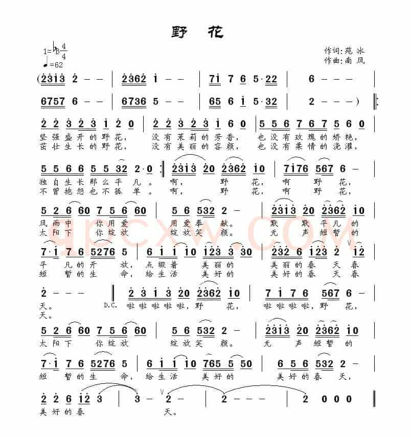 野花（苑冰词 南风曲）