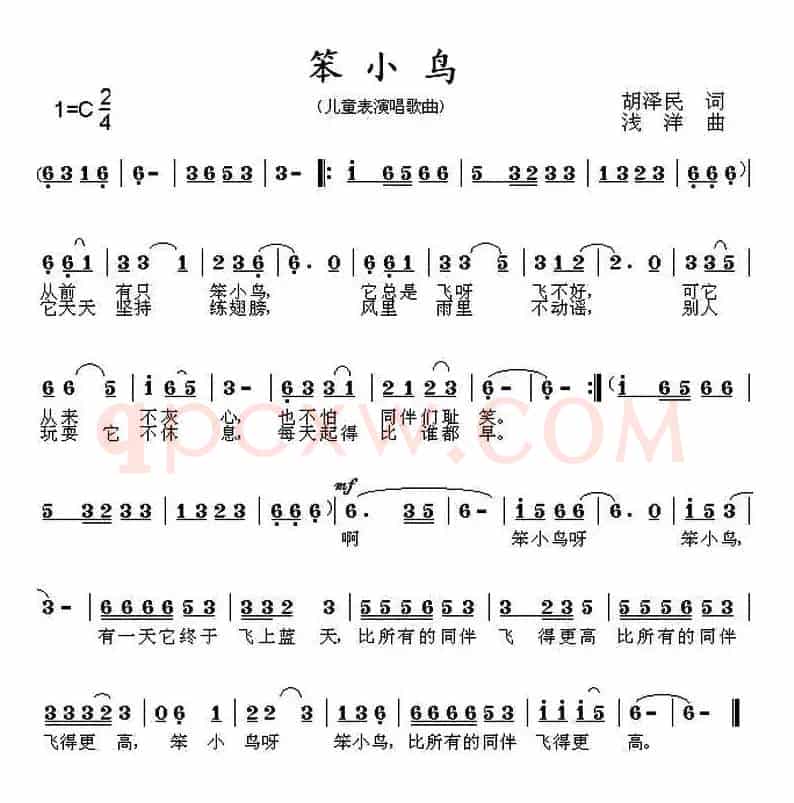 笨小鸟