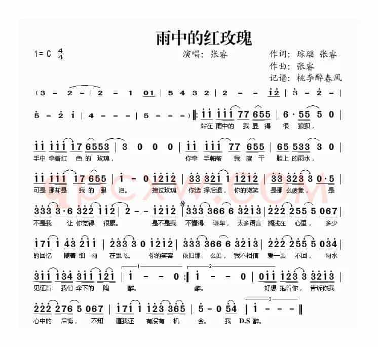 雨中的红玫瑰