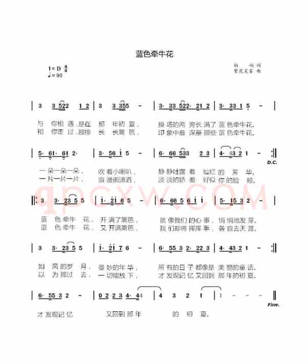 蓝色牵牛花