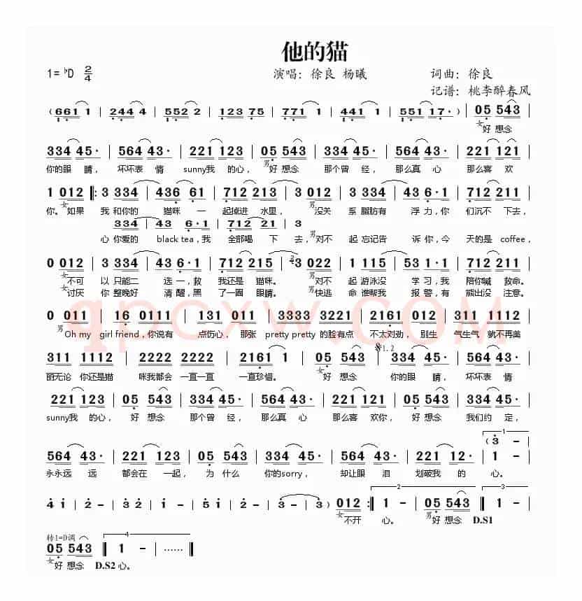 他的猫