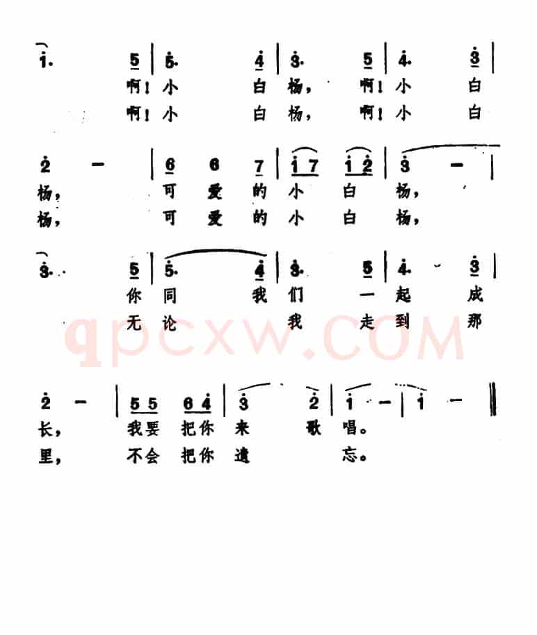 校园里的小白杨（杨春华词 王莘曲）