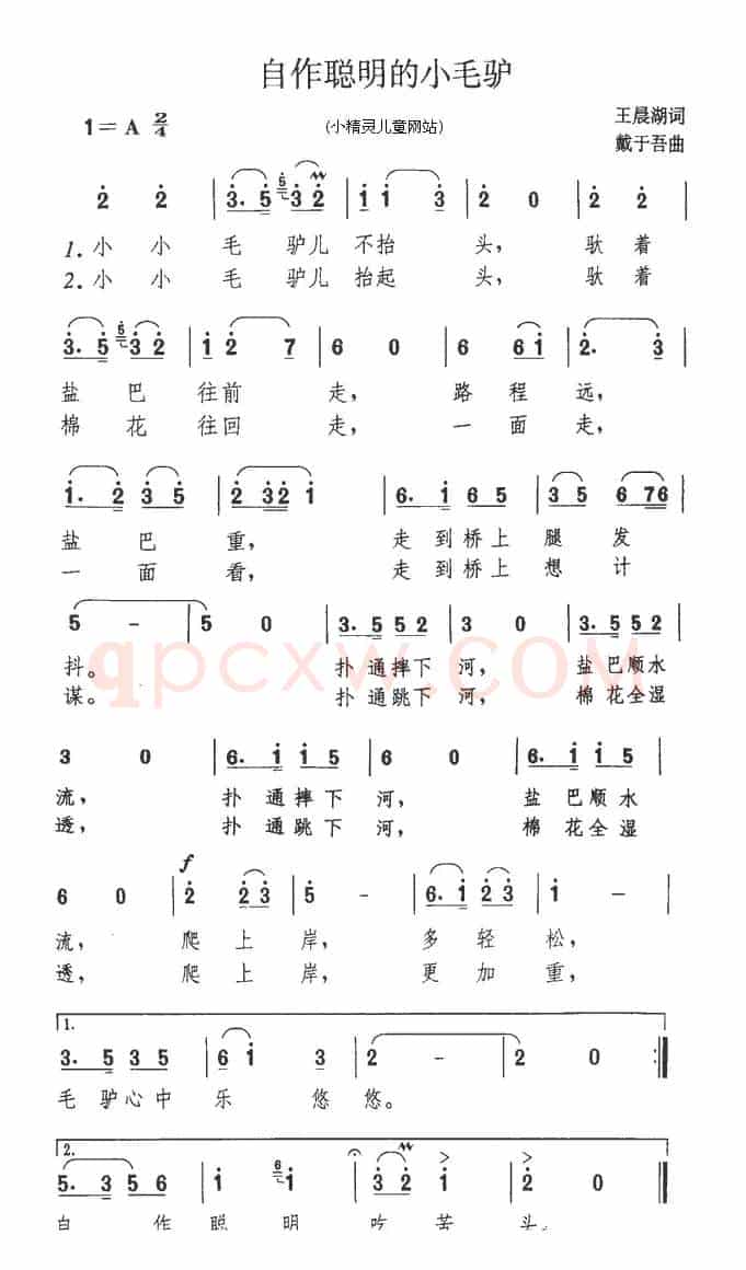 自作聪明的小毛驴
