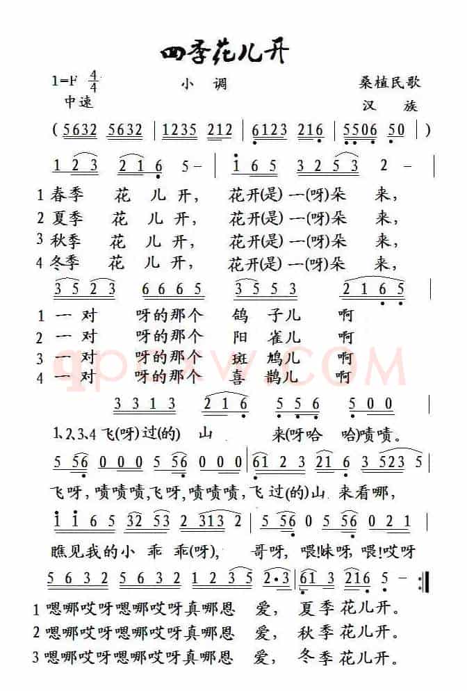 四季花儿开