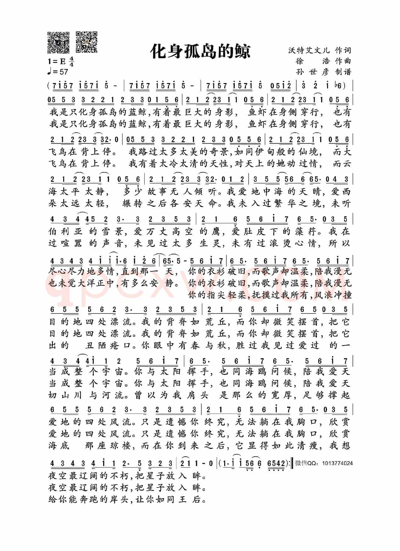 化身孤岛的鲸